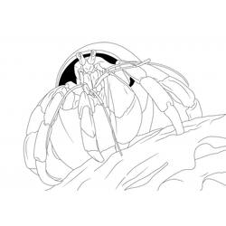 Malvorlage: Krabbe (Tiere) #4623 - Kostenlose Malvorlagen zum Ausdrucken