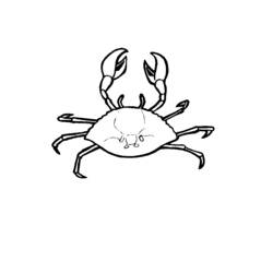 Malvorlage: Krabbe (Tiere) #4628 - Kostenlose Malvorlagen zum Ausdrucken