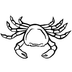 Malvorlage: Krabbe (Tiere) #4639 - Kostenlose Malvorlagen zum Ausdrucken