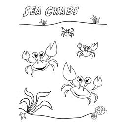 Malvorlage: Krabbe (Tiere) #4645 - Kostenlose Malvorlagen zum Ausdrucken