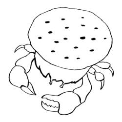 Malvorlage: Krabbe (Tiere) #4655 - Kostenlose Malvorlagen zum Ausdrucken