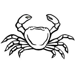 Malvorlage: Krabbe (Tiere) #4657 - Kostenlose Malvorlagen zum Ausdrucken