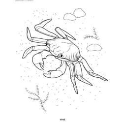Malvorlage: Krabbe (Tiere) #4659 - Kostenlose Malvorlagen zum Ausdrucken
