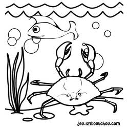 Malvorlage: Krabbe (Tiere) #4663 - Kostenlose Malvorlagen zum Ausdrucken