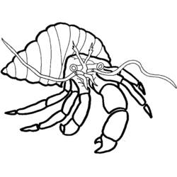 Malvorlage: Krabbe (Tiere) #4673 - Kostenlose Malvorlagen zum Ausdrucken