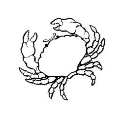 Malvorlage: Krabbe (Tiere) #4674 - Kostenlose Malvorlagen zum Ausdrucken