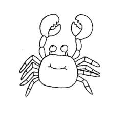Malvorlage: Krabbe (Tiere) #4700 - Kostenlose Malvorlagen zum Ausdrucken