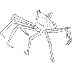 Malvorlage: Krabbe (Tiere) #4702 - Kostenlose Malvorlagen zum Ausdrucken