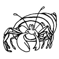 Malvorlage: Krabbe (Tiere) #4703 - Kostenlose Malvorlagen zum Ausdrucken