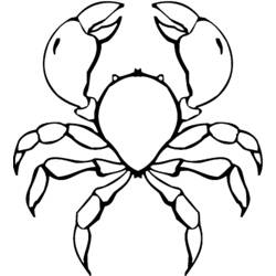 Malvorlage: Krabbe (Tiere) #4754 - Kostenlose Malvorlagen zum Ausdrucken