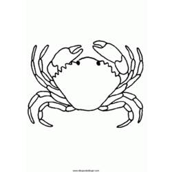 Malvorlage: Krabbe (Tiere) #4759 - Kostenlose Malvorlagen zum Ausdrucken