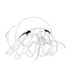 Malvorlage: Krabbe (Tiere) #4767 - Kostenlose Malvorlagen zum Ausdrucken