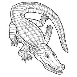 Malvorlage: Krokodil (Tiere) #4817 - Kostenlose Malvorlagen zum Ausdrucken