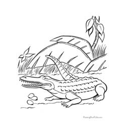 Malvorlage: Krokodil (Tiere) #4827 - Kostenlose Malvorlagen zum Ausdrucken