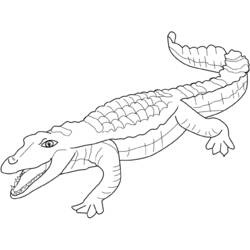 Malvorlage: Krokodil (Tiere) #4829 - Kostenlose Malvorlagen zum Ausdrucken