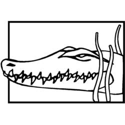Malvorlage: Krokodil (Tiere) #4874 - Kostenlose Malvorlagen zum Ausdrucken