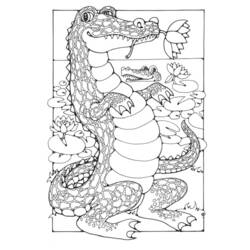 Malvorlage: Krokodil (Tiere) #4887 - Kostenlose Malvorlagen zum Ausdrucken