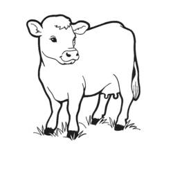Malvorlage: Kuh (Tiere) #13189 - Kostenlose Malvorlagen zum Ausdrucken