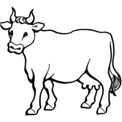 Zeichnungen zum Ausmalen: Kuh - Druckbare Malvorlagen