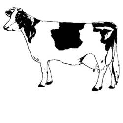 Malvorlage: Kuh (Tiere) #13196 - Kostenlose Malvorlagen zum Ausdrucken
