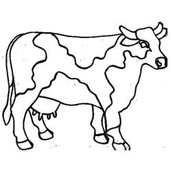 Malvorlage: Kuh (Tiere) #13208 - Kostenlose Malvorlagen zum Ausdrucken
