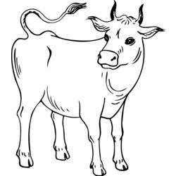 Malvorlage: Kuh (Tiere) #13248 - Kostenlose Malvorlagen zum Ausdrucken