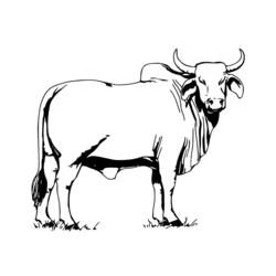 Malvorlage: Kuh (Tiere) #13260 - Kostenlose Malvorlagen zum Ausdrucken