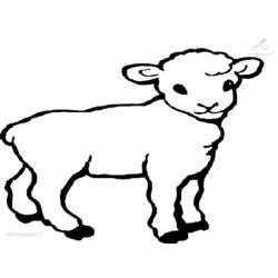 Malvorlage: Lamm (Tiere) #177 - Kostenlose Malvorlagen zum Ausdrucken