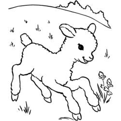 Malvorlage: Lamm (Tiere) #198 - Kostenlose Malvorlagen zum Ausdrucken