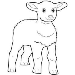 Malvorlage: Lamm (Tiere) #200 - Kostenlose Malvorlagen zum Ausdrucken
