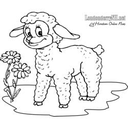 Malvorlage: Lamm (Tiere) #210 - Kostenlose Malvorlagen zum Ausdrucken