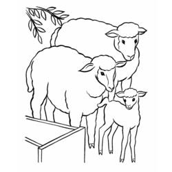 Malvorlage: Lamm (Tiere) #212 - Kostenlose Malvorlagen zum Ausdrucken