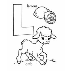Malvorlage: Lamm (Tiere) #267 - Kostenlose Malvorlagen zum Ausdrucken