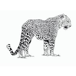 Malvorlage: Leopard (Tiere) #9704 - Kostenlose Malvorlagen zum Ausdrucken