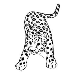 Malvorlage: Leopard (Tiere) #9707 - Kostenlose Malvorlagen zum Ausdrucken