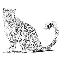 Malvorlage: Leopard (Tiere) #9720 - Kostenlose Malvorlagen zum Ausdrucken