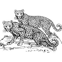 Malvorlage: Leopard (Tiere) #9724 - Kostenlose Malvorlagen zum Ausdrucken