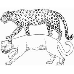 Malvorlage: Leopard (Tiere) #9729 - Kostenlose Malvorlagen zum Ausdrucken