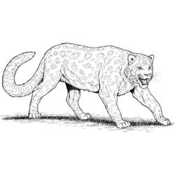 Malvorlage: Leopard (Tiere) #9730 - Kostenlose Malvorlagen zum Ausdrucken