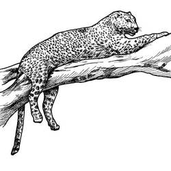 Malvorlage: Leopard (Tiere) #9740 - Kostenlose Malvorlagen zum Ausdrucken