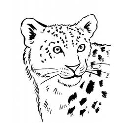 Malvorlage: Leopard (Tiere) #9742 - Kostenlose Malvorlagen zum Ausdrucken