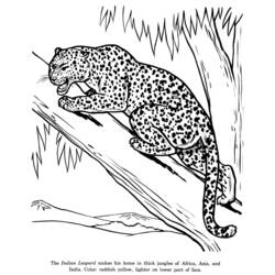 Malvorlage: Leopard (Tiere) #9748 - Kostenlose Malvorlagen zum Ausdrucken