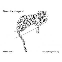 Malvorlage: Leopard (Tiere) #9753 - Kostenlose Malvorlagen zum Ausdrucken