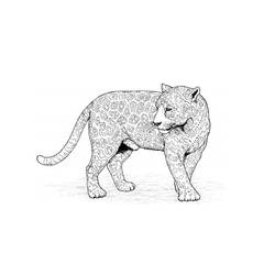 Malvorlage: Leopard (Tiere) #9758 - Kostenlose Malvorlagen zum Ausdrucken