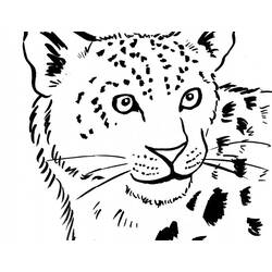 Malvorlage: Leopard (Tiere) #9759 - Kostenlose Malvorlagen zum Ausdrucken