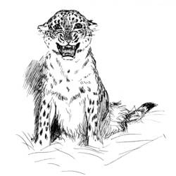 Malvorlage: Leopard (Tiere) #9761 - Kostenlose Malvorlagen zum Ausdrucken