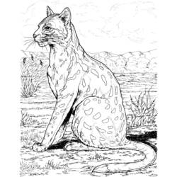 Malvorlage: Leopard (Tiere) #9771 - Kostenlose Malvorlagen zum Ausdrucken