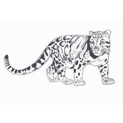 Malvorlage: Leopard (Tiere) #9787 - Kostenlose Malvorlagen zum Ausdrucken