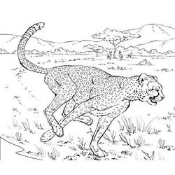 Malvorlage: Leopard (Tiere) #9798 - Kostenlose Malvorlagen zum Ausdrucken