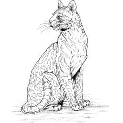 Malvorlage: Leopard (Tiere) #9806 - Kostenlose Malvorlagen zum Ausdrucken